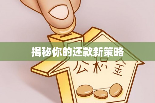 关岭揭秘你的还款新策略