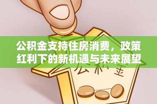 关岭公积金支持住房消费，政策红利下的新机遇与未来展望