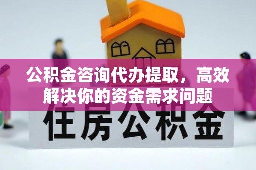 关岭公积金咨询代办提取，高效解决你的资金需求问题