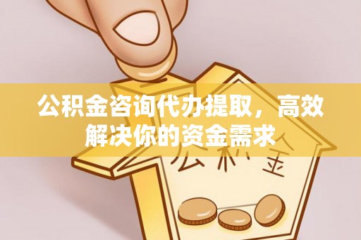 关岭公积金咨询代办提取，高效解决你的资金需求