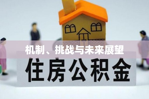 关岭机制、挑战与未来展望