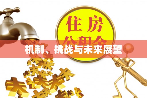 关岭机制、挑战与未来展望